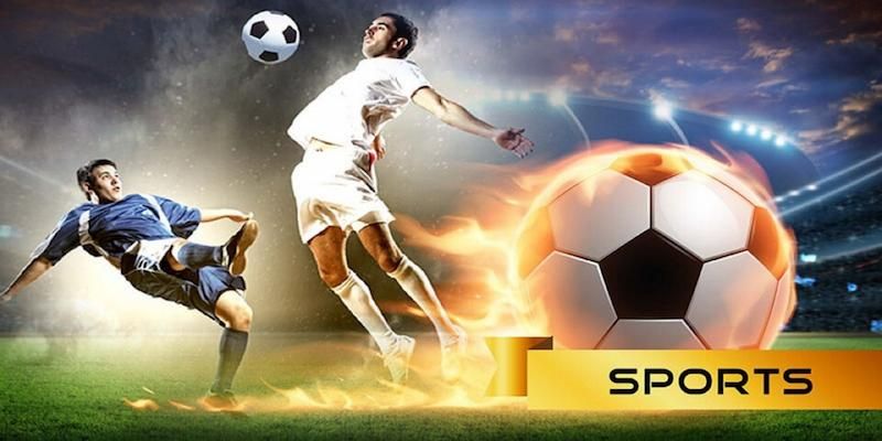 Cá cược thể thao online tại nhà cái 8LIVE